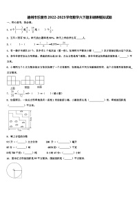 德州市乐陵市2022-2023学年数学六下期末调研模拟试题含解析