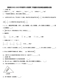 惠来县2022-2023学年数学六年级第二学期期末质量跟踪监视模拟试题含解析