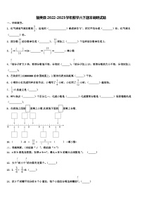 措美县2022-2023学年数学六下期末调研试题含解析