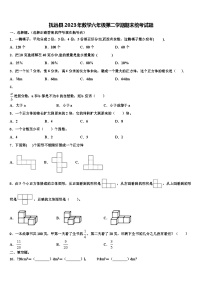 抚远县2023年数学六年级第二学期期末统考试题含解析