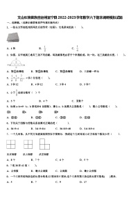 文山壮族苗族自治州富宁县2022-2023学年数学六下期末调研模拟试题含解析