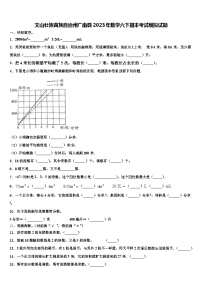 文山壮族苗族自治州广南县2023年数学六下期末考试模拟试题含解析