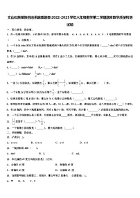 文山壮族苗族自治州麻栗坡县2022-2023学年六年级数学第二学期期末教学质量检测试题含解析