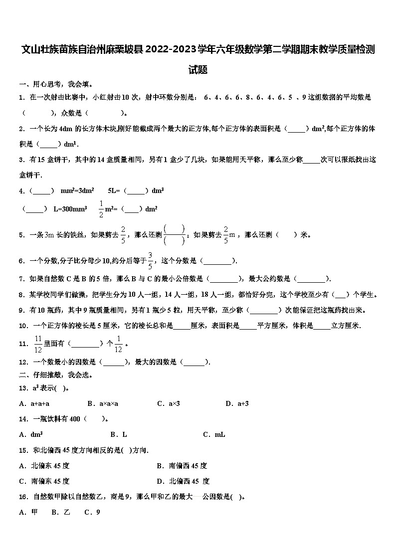 文山壮族苗族自治州麻栗坡县2022-2023学年六年级数学第二学期期末教学质量检测试题含解析第1页