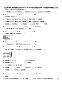 文山壮族苗族自治州丘北县2022-2023学年六年级数学第二学期期末经典模拟试题含解析