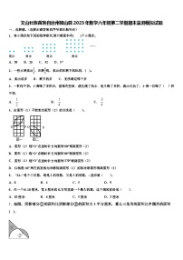 文山壮族苗族自治州砚山县2023年数学六年级第二学期期末监测模拟试题含解析