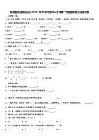 新疆昌吉回族自治州2022-2023学年数学六年级第二学期期末复习检测试题含解析