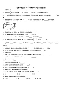 杭州市淳安县2023年数学六下期末预测试题含解析