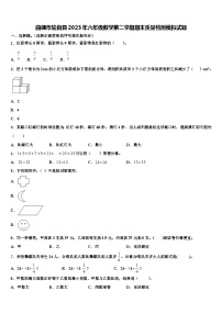 曲靖市陆良县2023年六年级数学第二学期期末质量检测模拟试题含解析