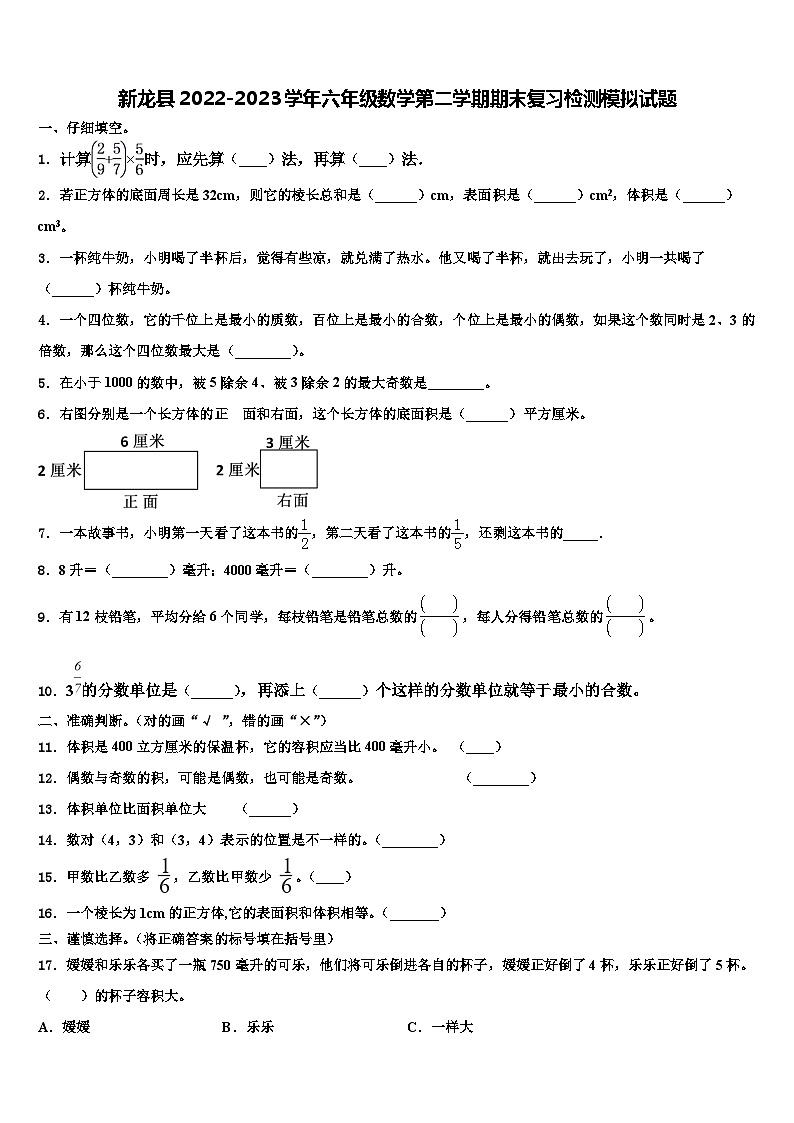 新龙县2022-2023学年六年级数学第二学期期末复习检测模拟试题含解析第1页