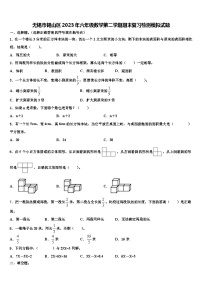 无锡市锡山区2023年六年级数学第二学期期末复习检测模拟试题含解析