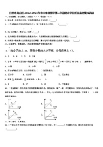 日照市岚山区2022-2023学年六年级数学第二学期期末学业质量监测模拟试题含解析