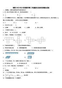 横县2023年六年级数学第二学期期末达标检测模拟试题含解析