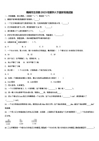 梅州市五华县2023年数学六下期末检测试题含解析