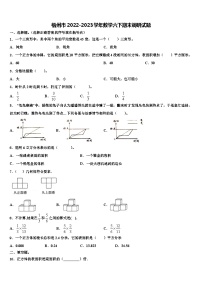 梧州市2022-2023学年数学六下期末调研试题含解析