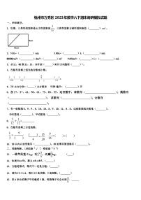 梧州市万秀区2023年数学六下期末调研模拟试题含解析