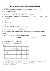 株洲市芦淞区2023年数学六下期末教学质量检测模拟试题含解析