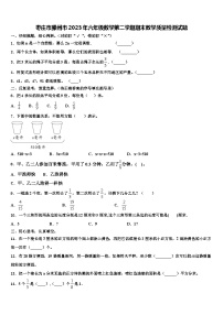 枣庄市滕州市2023年六年级数学第二学期期末教学质量检测试题含解析