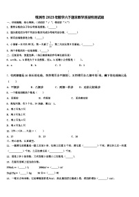 株洲市2023年数学六下期末教学质量检测试题含解析