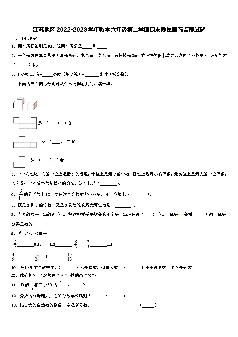 江苏地区2022-2023学年数学六年级第二学期期末质量跟踪监视试题含解析01