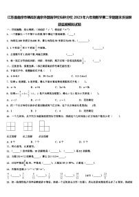 江苏省南京市栖霞区南京外国语学校仙林分校2023年六年级数学第二学期期末质量跟踪监视模拟试题含解析