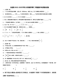 永胜县2022-2023学年六年级数学第二学期期末考试模拟试题含解析