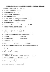 江苏省徐州市丰县2022-2023学年数学六年级第二学期期末监测模拟试题含解析