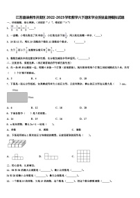 江苏省徐州市开发区2022-2023学年数学六下期末学业质量监测模拟试题含解析