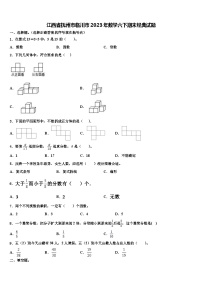 江西省抚州市临川市2023年数学六下期末经典试题含解析