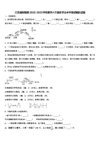 江苏省射阳县2022-2023学年数学六下期末学业水平测试模拟试题含解析