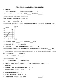 沧州市泊头市2023年数学六下期末调研试题含解析