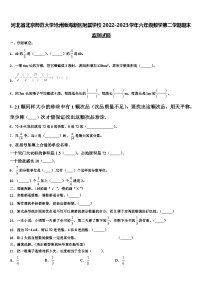 河北省北京师范大学沧州渤海新区附属学校2022-2023学年六年级数学第二学期期末监测试题含解析