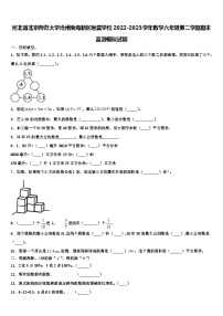 河北省北京师范大学沧州渤海新区附属学校2022-2023学年数学六年级第二学期期末监测模拟试题含解析