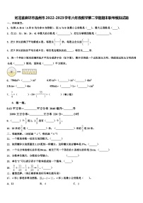 河北省廊坊市霸州市2022-2023学年六年级数学第二学期期末联考模拟试题含解析