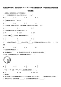 河北省廊坊市大厂回族自治县2022-2023学年六年级数学第二学期期末质量跟踪监视模拟试题含解析