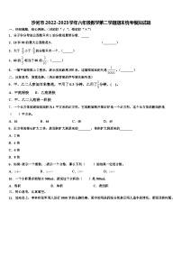 沙河市2022-2023学年六年级数学第二学期期末统考模拟试题含解析