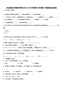 河北省衡水市景县杜桥镇2022-2023学年数学六年级第二学期期末监测试题含解析