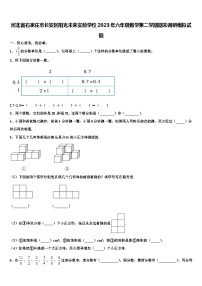 河北省石家庄市长安区阳光未来实验学校2023年六年级数学第二学期期末调研模拟试题含解析