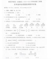 湖北省武汉市开发区(汉南区)2022-2023学年五年级下学期期末考试数学试题