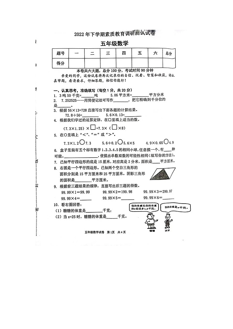 河南省驻马店市驿城区关王庙乡杜庄小学2022-2023学年五年级下学期数学期末调研卷01