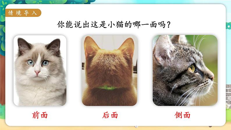 苏教二上 第7单元 第1课时 观察物体 PPT课件+教案+练习02