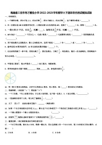 海南省三亚市育才雅亮小学2022-2023学年数学六下期末综合测试模拟试题含解析