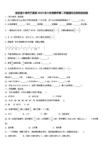 湖北省十堰市竹溪县2023年六年级数学第二学期期末达标检测试题含解析