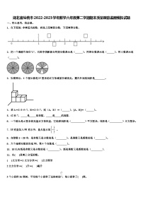 湖北省仙桃市2022-2023学年数学六年级第二学期期末质量跟踪监视模拟试题含解析