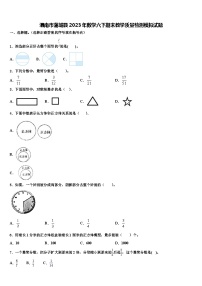 渭南市蒲城县2023年数学六下期末教学质量检测模拟试题含解析