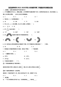 湖北省鄂州市2022-2023学年六年级数学第二学期期末检测模拟试题含解析