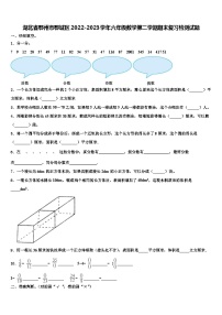 湖北省鄂州市鄂城区2022-2023学年六年级数学第二学期期末复习检测试题含解析