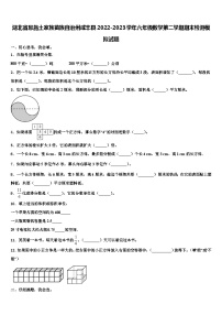 湖北省恩施土家族苗族自治州咸丰县2022-2023学年六年级数学第二学期期末检测模拟试题含解析