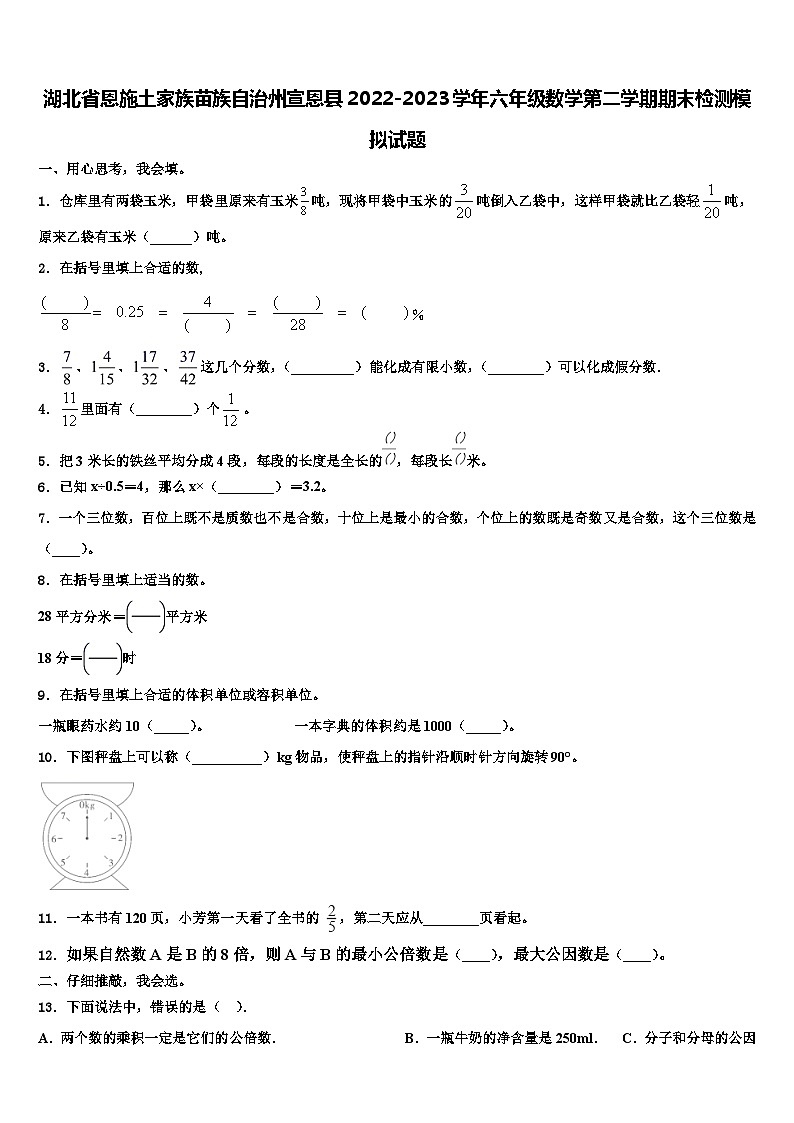 湖北省恩施土家族苗族自治州宣恩县2022-2023学年六年级数学第二学期期末检测模拟试题含解析第1页