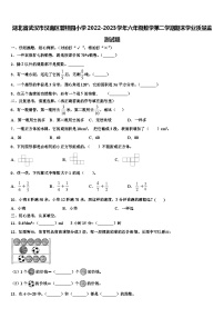 湖北省武汉市汉南区碧桂园小学2022-2023学年六年级数学第二学期期末学业质量监测试题含解析